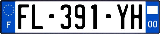 FL-391-YH