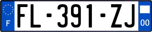 FL-391-ZJ