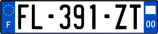 FL-391-ZT