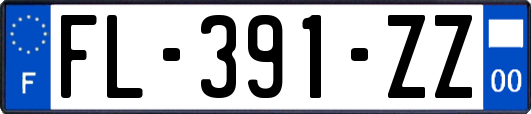 FL-391-ZZ