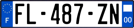 FL-487-ZN