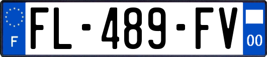 FL-489-FV