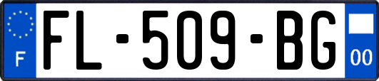 FL-509-BG