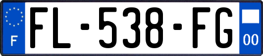 FL-538-FG