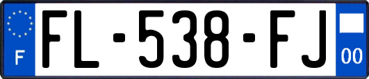 FL-538-FJ