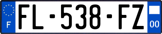 FL-538-FZ