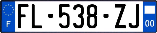 FL-538-ZJ