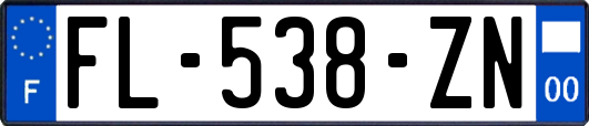 FL-538-ZN