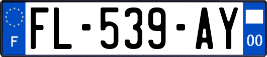FL-539-AY