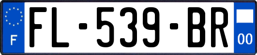 FL-539-BR