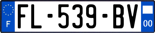 FL-539-BV