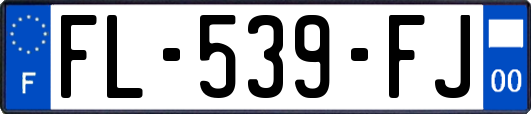 FL-539-FJ