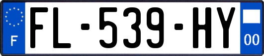 FL-539-HY