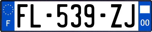 FL-539-ZJ