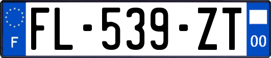 FL-539-ZT