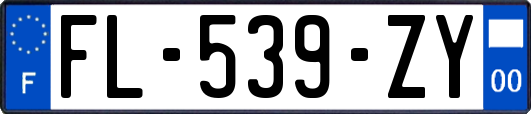 FL-539-ZY