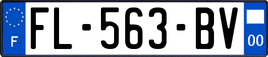 FL-563-BV