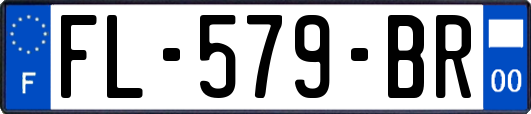 FL-579-BR