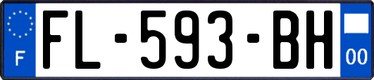 FL-593-BH
