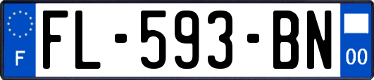 FL-593-BN