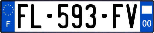 FL-593-FV