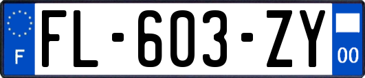 FL-603-ZY