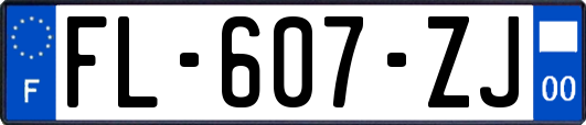 FL-607-ZJ