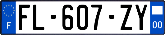 FL-607-ZY