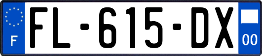 FL-615-DX