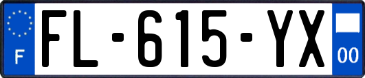 FL-615-YX