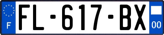 FL-617-BX