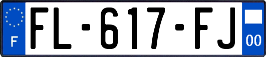 FL-617-FJ