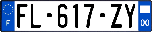 FL-617-ZY