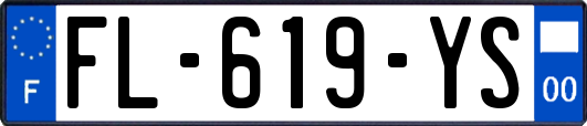 FL-619-YS