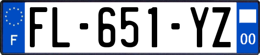 FL-651-YZ