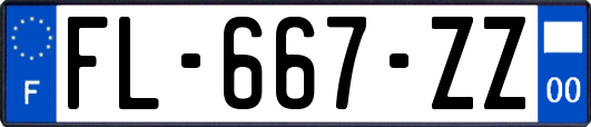 FL-667-ZZ