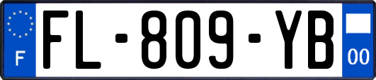 FL-809-YB