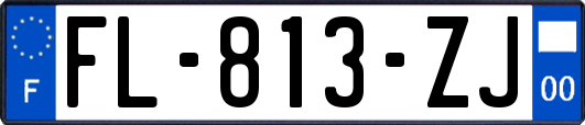 FL-813-ZJ