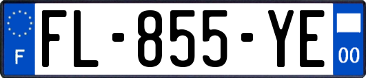 FL-855-YE