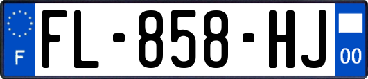 FL-858-HJ