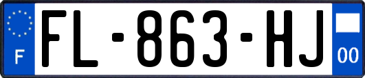 FL-863-HJ