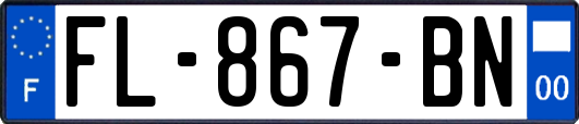 FL-867-BN