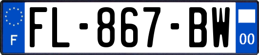 FL-867-BW
