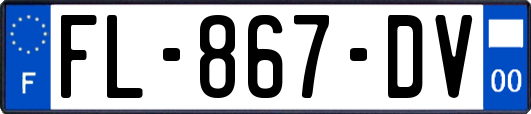 FL-867-DV