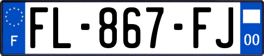 FL-867-FJ