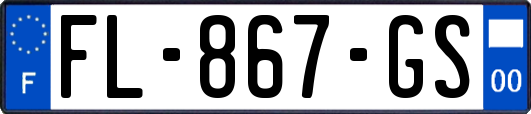 FL-867-GS