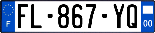 FL-867-YQ