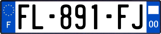 FL-891-FJ