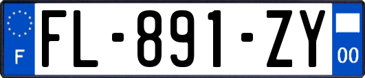 FL-891-ZY