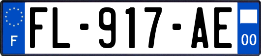 FL-917-AE